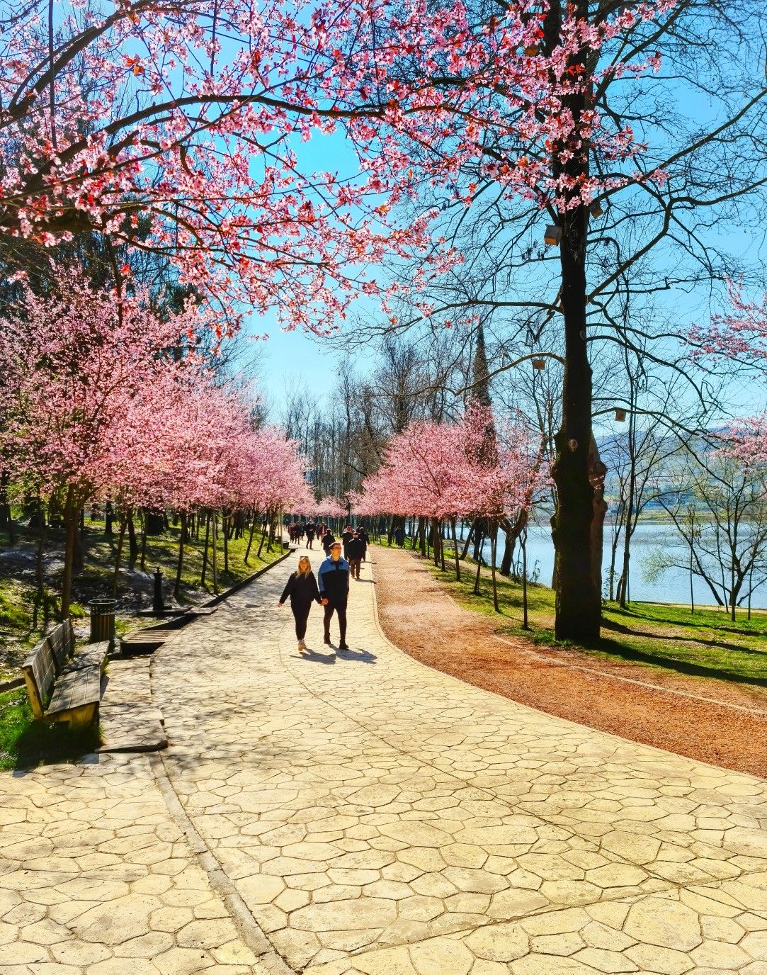 Grand Park of Tirana